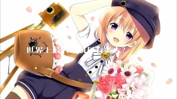 世界上最大的航母有多大？