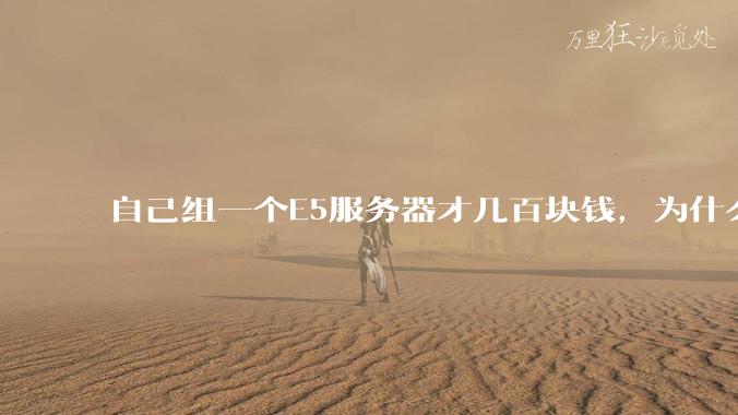 自己组一个E5服务器才几百块钱，为什么去阿里云租这么贵?
